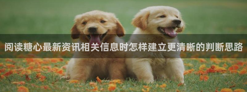 糖心代表作视频