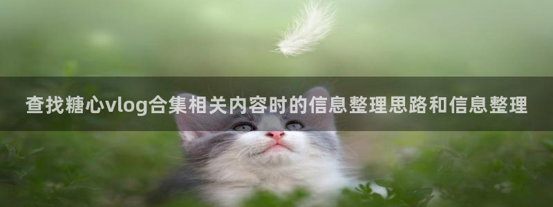 糖心视频免费下载：查找糖心vlog合集相关内容时的信息整理思路和信息整理
