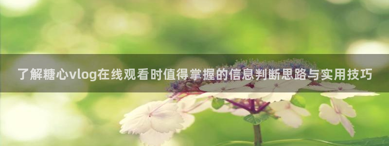 糖心vlog入口:了解糖心vlog在线观看时值得掌握的信息判断思路与实用技巧