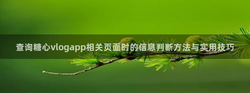 糖心vlog官网版下载