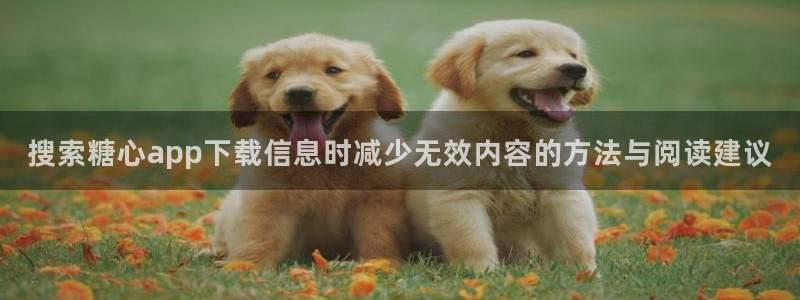 糖心视频在线免费观看