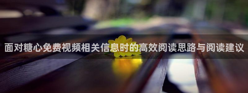 心糖vlog