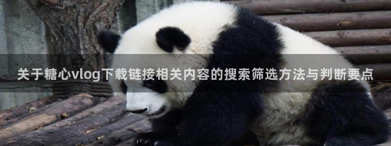 糖心vlog在线观看免费:关于糖心vlog下载链接相关内容的搜索筛选方法与判断要点