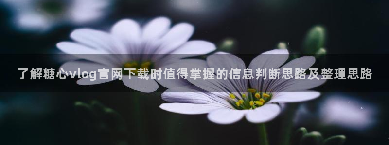 糖心vlog极品女神在线