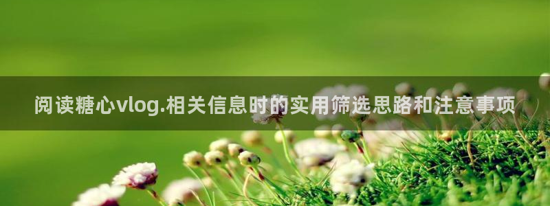 糖心视频在线观看免费:阅读糖心vlog.相关信息时的实用筛选思路和注意事项