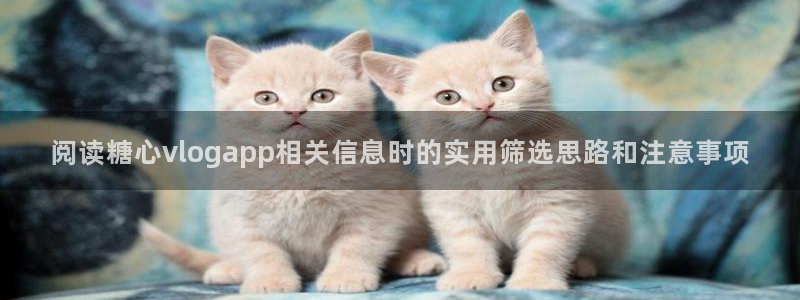 糖心官网入口：阅读糖心vlogapp相关信息时的实用筛选思路和注意事项