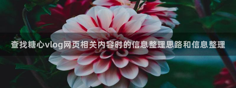 唐伯虎糖心vlog：查找糖心vlog网页相关内容时的信息整理思路和信息整理