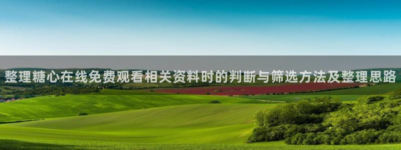 心糖vlog