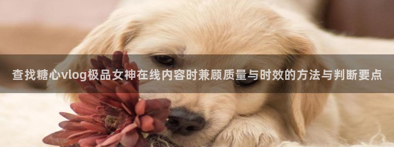 糖心vlog小欣奈:查找糖心vlog极品女神在线内容时兼顾质量与时效的方法与判断要点