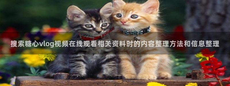 tg-tg-糖心官方网站:搜索糖心vlog视频在线观看相关资料时的内容整理方法和信息整理