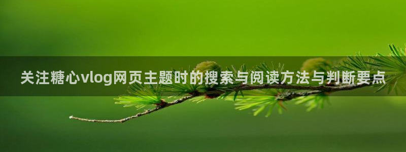 糖心vlog官方网址